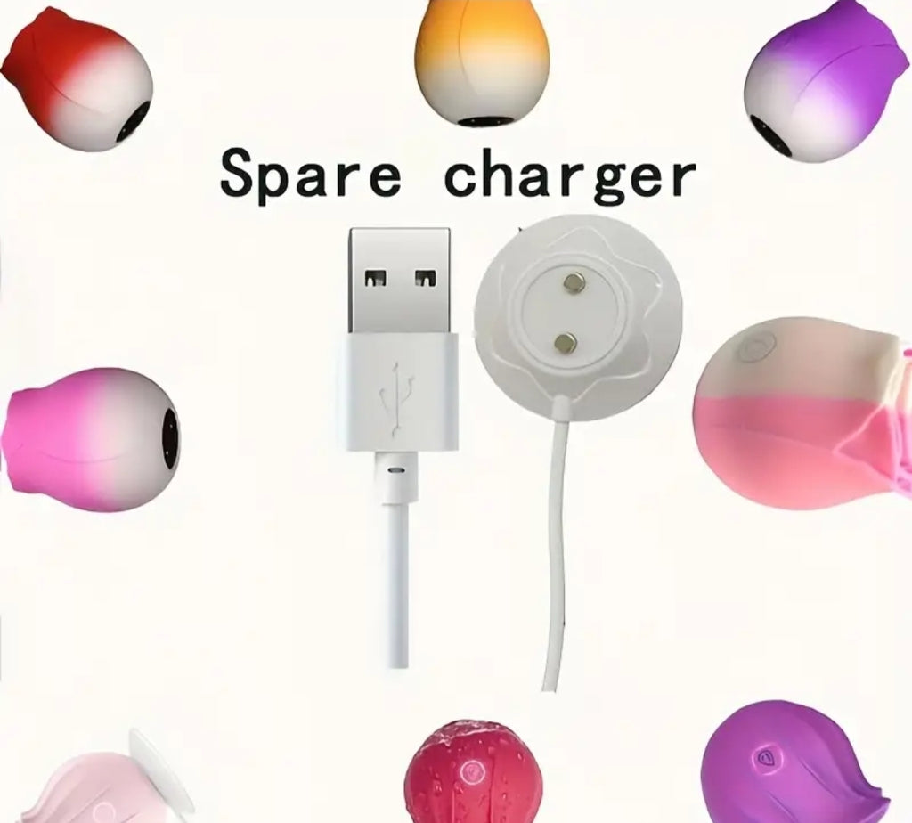 Spare Charger